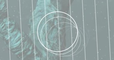 DNA ipliği üzerinde dönen beyaz dairelerin animasyonu. küresel bilim, araştırma, veri işleme ve dijital arayüz kavramı dijital olarak oluşturulmuş video.