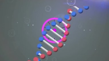 DNA ipliği ve dürbün taramasının animasyonu. küresel bilim, bağlantılar ve dijital arayüz konsepti dijital olarak oluşturulmuş video.