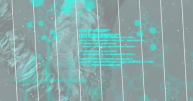 Veri işleme üzerindeki DNA iplikçiklerinin animasyonu. küresel bilim, araştırma, veri işleme ve dijital arayüz kavramı dijital olarak oluşturulmuş video.