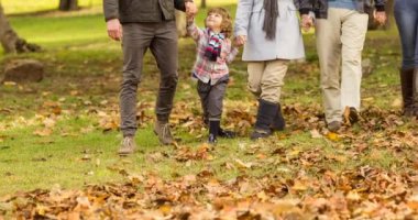 Parkta köpekleri ile el ele tutuşan Kafkasyalı çok nesilli mutlu bir aile. Köpek sahipliğini, bakım ve sadakat konseptini dijital olarak üretilmiş videolarınızı gezdirin.