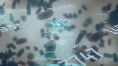 Sayıların değişiminin animasyonu ve ekran üzerindeki 19 hücrenin verileri. covid 19 salgını sırasında dijital olarak üretilen video konsepti sırasında küresel bağlantılar ve ağlar.