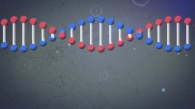 Bağlantılar ağının üzerinde dönen DNA ipliklerinin animasyonu. küresel bağlantılar, ağ oluşturma ve veri işleme kavramı dijital olarak oluşturulmuş video.