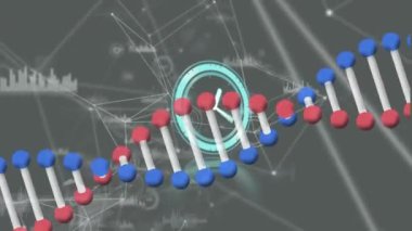 Saatin animasyonu, DNA ipliği ve bağlantı ağı. küresel bilim, bağlantılar ve dijital arayüz konsepti dijital olarak oluşturulmuş video.