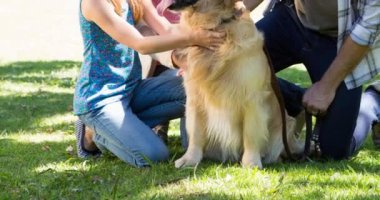Kafkasyalı mutlu anne-baba ve kızı parkta köpeğini okşuyor. Köpek sahipliğini, bakım ve sadakat konseptini dijital olarak üretilmiş videolarınızı gezdirin.