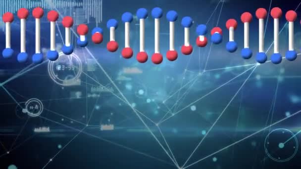 Dna鎖の回転と接続のネットワークのアニメーション 世界的な接続とネットワークの概念デジタル生成されたビデオ — ストック動画