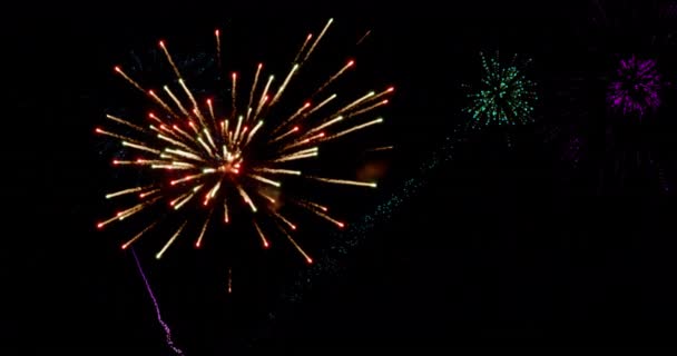 Renkli Noel Gece Gökyüzünde Patlayan Yeni Yıl Havai Fişeklerinin Animasyonu — Stok video