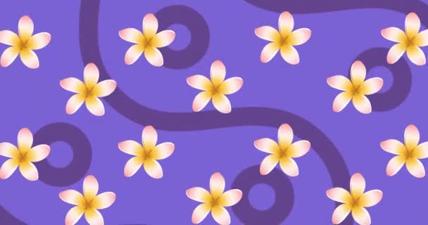 Animazione Fiori Gialli Rosa Rotanti Con Curve Viola Cerchi Sfondo — Video Stock