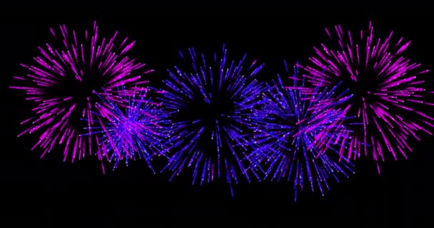 Animation Pink Purple Christmas New Year Fireworks Exploding Night Sky — Stock Video