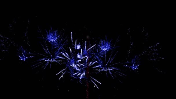 분홍빛 파란색 크리스마스 불꽃놀이 밤하늘에서 터지는 애니메이션이다 크리스마스 디지털 비디오 — 비디오