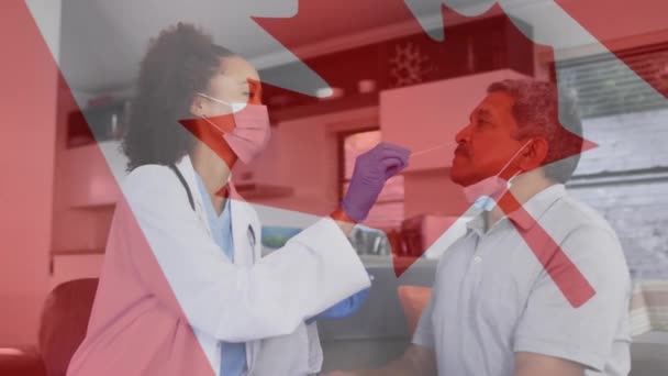 Animation Flag Canada Female Doctor Face Mask Swab Testing Male — Stock Video