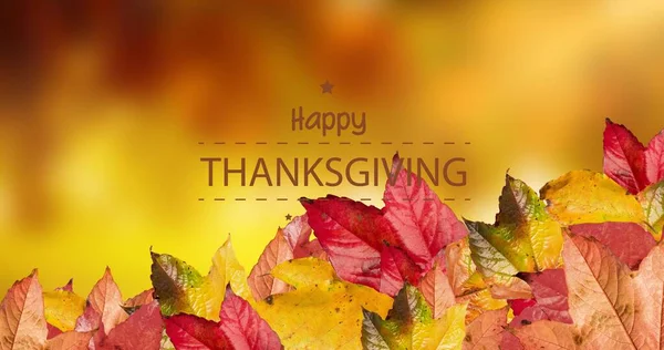 Sammansättning Höstlöv Och Glad Tacksägelsetext Med Kopieringsutrymme Thanksgiving Tradition Och — Stockfoto
