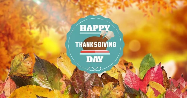 Composition Happy Thanksgiving Text Autumn Leaves Copy Space Thanksgiving Celebration — Stock Photo, Image