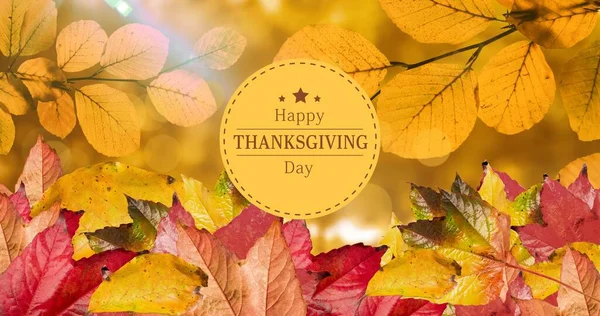 Digital Composite Image Autumn Leaves Happy Thanksgiving Text Copy Space — Stock Photo, Image