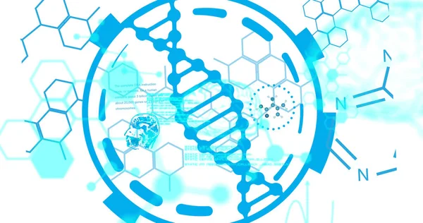 Image Scientific Data Processing Dna Strand Spinning Global Science Research — Stock Photo, Image