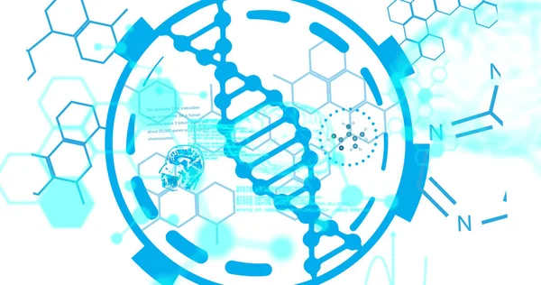 Bild Der Wissenschaftlichen Datenverarbeitung Über Das Dna Strang Spinnen Globale — Stockfoto