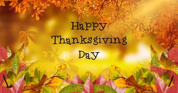 Ψηφιακή Σύνθετη Εικόνα Χαρούμενη Ημέρα Ευχαριστιών Κείμενο Και Φθινοπωρινά Δέντρα — Φωτογραφία Αρχείου