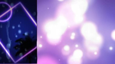 Parlak benekli palmiye ağaçlarının üzerine mor neon çerçeve animasyonu. renk, eğlence ve iletişim konsepti dijital olarak oluşturulmuş video.