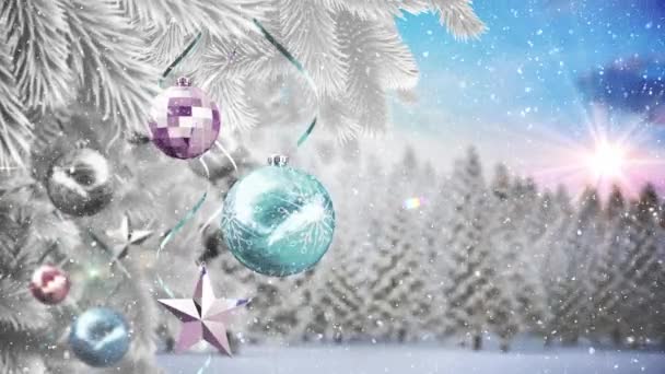 Animation Von Tannenzweigen Mit Weihnachtsschmuck Über Winterlicher Landschaft Bei Schneefall — Stockvideo