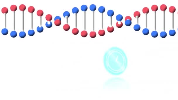 Saatin Hareket Halindeki Animasyonu Beyaz Arka Planda Dönen Dna Ipliği — Stok video