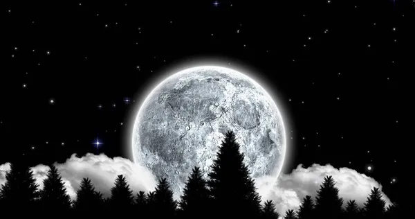 Sammansättning Fullmåne Och Silhuett Träd Mot Stjärnfält Natten Med Kopieringsutrymme — Stockfoto