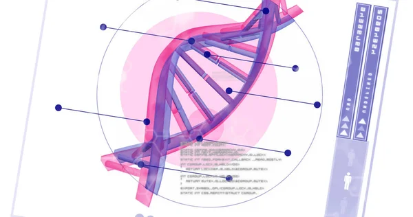 Image Scientific Data Processing Dna Strand Spinning Global Science Research — Stock Photo, Image