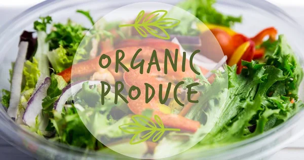 Digital Composite Image Organic Produce Symbol Text Bowl Fresh Salad — Stock Photo, Image