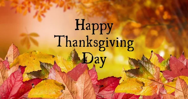 Composite Image Happy Thanksgiving Day Text Autumn Leaves Copy Space — Stock Photo, Image