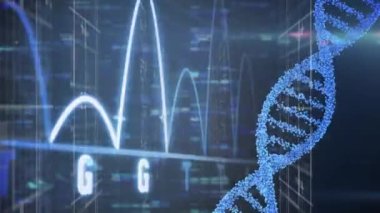 DNA iplikçiklerinin dönmesi ve bilimsel veri işleme animasyonu. küresel bilim, veri işleme ve dijital arayüz kavramı dijital olarak oluşturulmuş video.