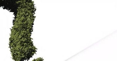 Beyaz arka planda ağaç soru işaretinin canlandırması. Ulusal bilgi yarışması günü, bilgi, sorular, sınavlar ve yarışmalar konsepti dijital olarak oluşturuldu.