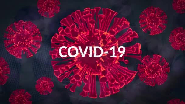 Covid 19データと赤血球のアニメーション 世界中で流行している19の概念をデジタルで — ストック動画