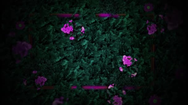 Animação Flores Rosa Folhas Verdes Com Borboletas Silhuetas Luzes Rosa — Vídeo de Stock