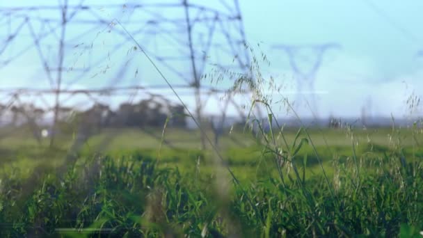 Animación Puntos Brillantes Moviéndose Sobre Torres Eléctricas Concepto Global Electricidad — Vídeo de stock