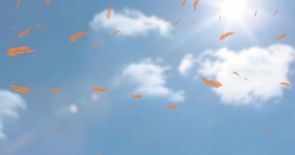 Animación Plumas Pájaro Naranja Que Caen Sobre Sol Cielo Azul — Vídeo de stock