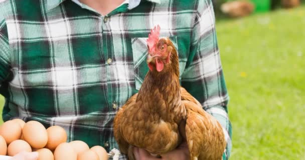 Granjero Macho Caucásico Sonriente Sosteniendo Gallinas Huevos Corral Corral Día — Vídeo de stock