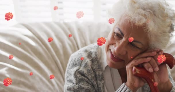 Анимация Красных Роз Над Улыбающейся Двуличной Старшей Женщиной Сидящей Опираясь — стоковое видео