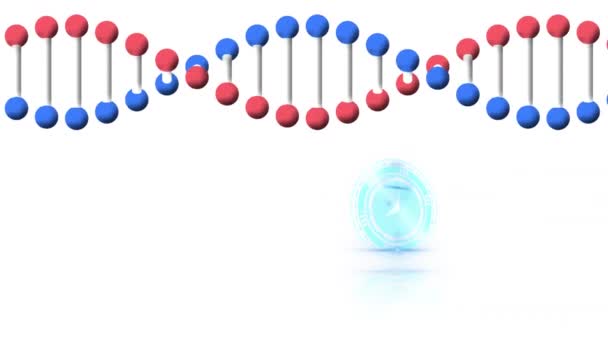 Animation Clock Moving Fast Dna Strand Spinning White Background Global — Stock Video