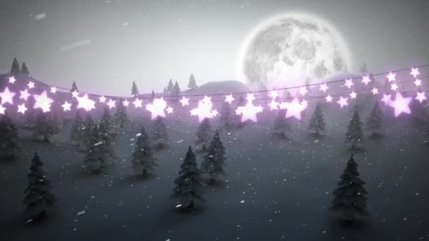 Світлі Зірки Формі Казкових Вогнів Прикраса Проти Снігу Падає Над — стокове відео
