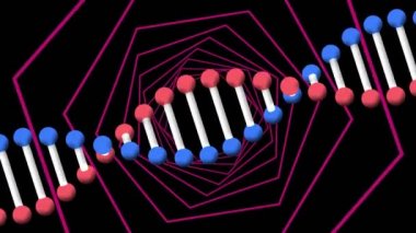 Neon altıgenlerin üzerindeki DNA ipliklerinin animasyonu. küresel bağlantılar, teknoloji, veri işleme ve dijital arayüz konsepti dijital olarak oluşturulmuş video.