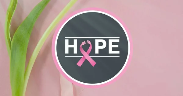 希望文字与乳腺癌意识带在粉色桌子上的组合 复制空间 乳腺癌宣传运动和病媒概念 — 图库照片