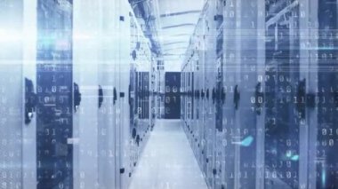 Sunucu odasında parazit ve ikili kodlama animasyonu. teknoloji, bağlantılar ve dijital arayüz kavramı dijital olarak oluşturulmuş video.