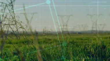 Veri işlemenin animasyonu ve elektrik direkleriyle manzaranın karesi. küresel bağlantılar, teknoloji, veri işleme ve dijital arayüz konsepti dijital olarak oluşturulmuş video.