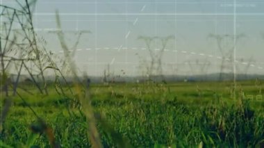 Elektrik direkleriyle peyzaj üzerinde veri işleme animasyonu. küresel bağlantılar, teknoloji, veri işleme ve dijital arayüz konsepti dijital olarak oluşturulmuş video.