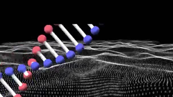 Animación Cadena Adn Moviéndose Sobre Datos Ondulantes Sobre Fondo Negro — Vídeos de Stock