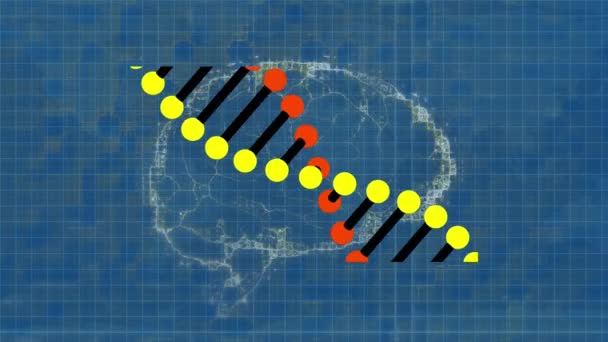 Animation Des Dna Strangs Über Graph Und Digitalem Gehirn Globales — Stockvideo