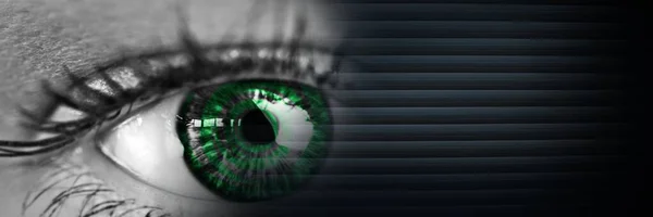 Erkek Gözü Çizgili Gri Arkaplanın Birleşik Görüntüsü Biyometrik Tarama Teknolojisi — Stok fotoğraf