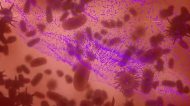 Kırmızı zemin üzerinde hareket eden hücreler üzerinde mor dalga animasyonu. küresel tıp ve sağlık hizmetleri konsepti dijital olarak oluşturulmuş video.