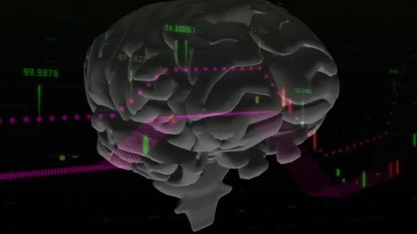 Animation Graphs Brain Black Background Global Business Finance Science Digital — Video Stock