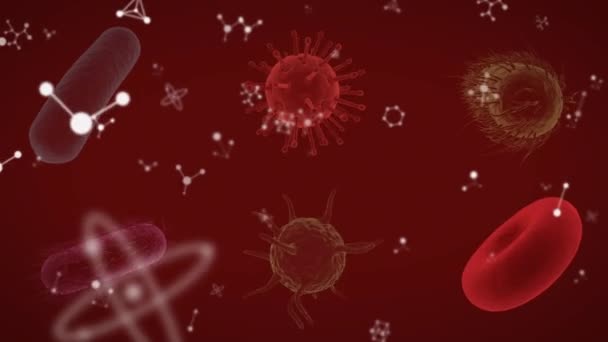 Kırmızı Zemin Üzerinde Hareket Eden Hücrelerin Animasyonu Küresel Tıp Sağlık — Stok video
