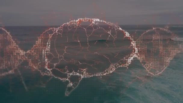 Animação Cérebro Humano Sobre Paisagem Marinha Conceito Global Ciência Conexões — Vídeo de Stock