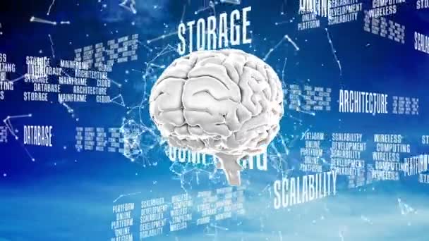 青い背景に回転する脳に関する技術文書のアニメーション 世界規模の接続 データ処理 テクノロジーの概念デジタルで生成されたビデオ — ストック動画